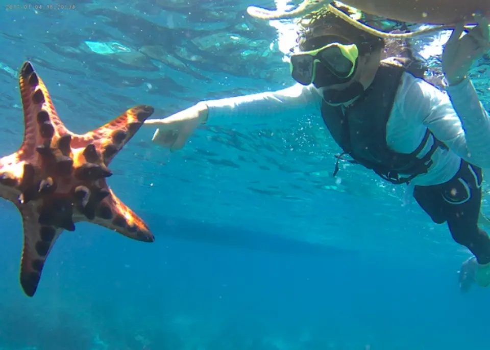 Bohol Island Hopping