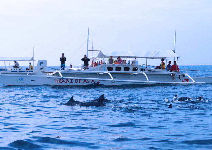 Bohol Island Hopping